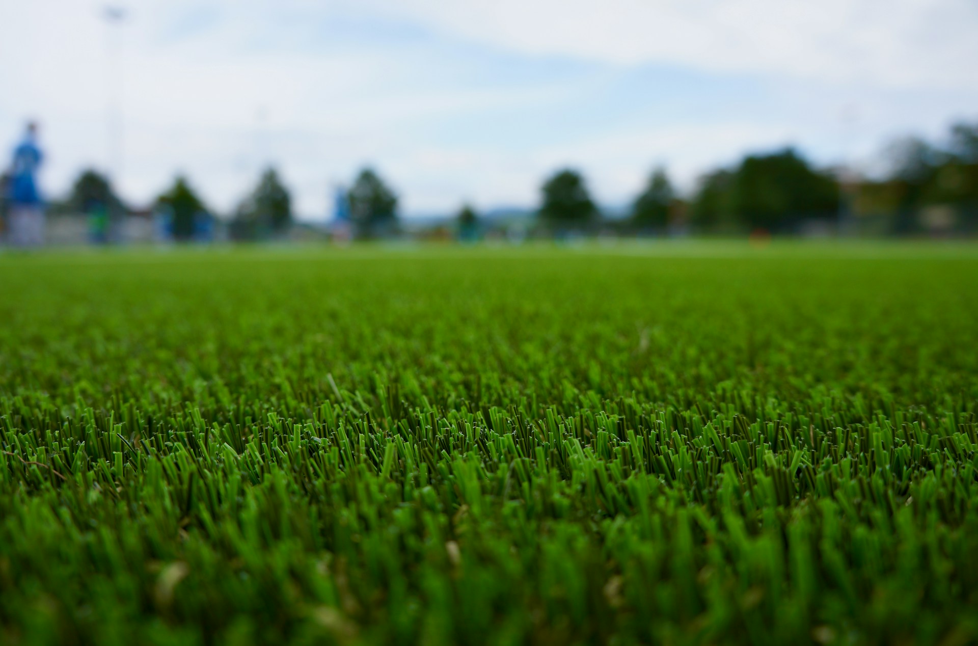 Artificial Grass