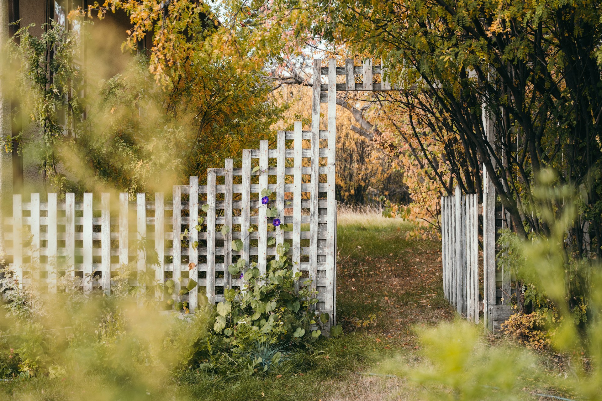 Garden Fencing