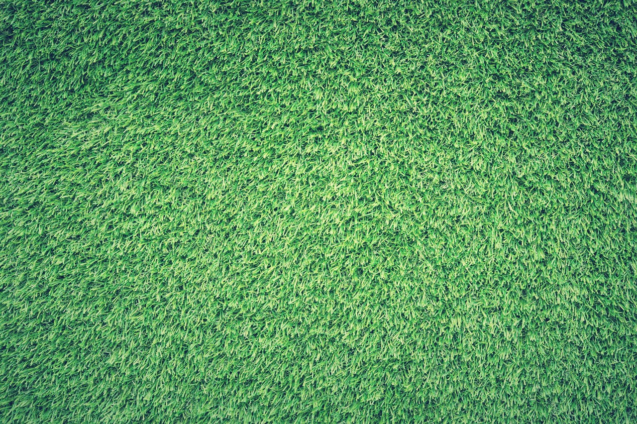 Artificial Grass