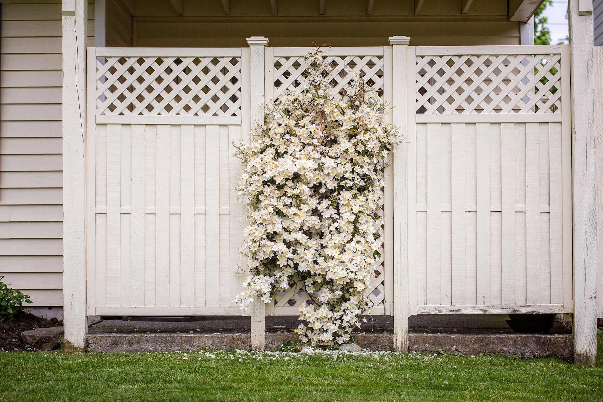 fence