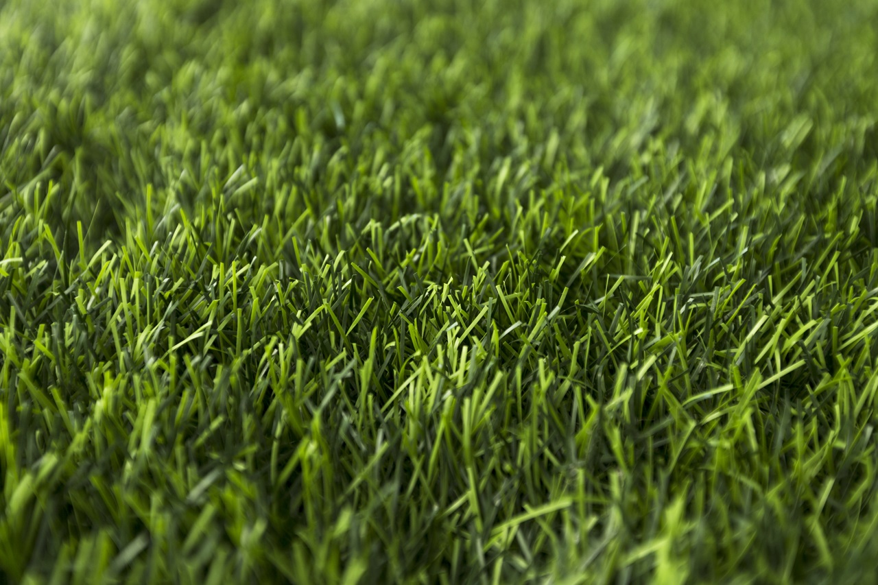 artificial grass