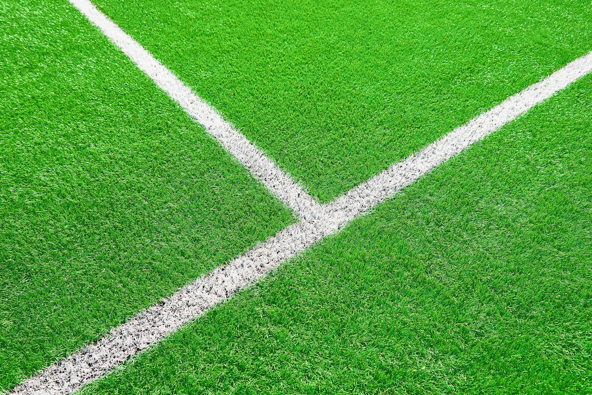 Artificial Grass