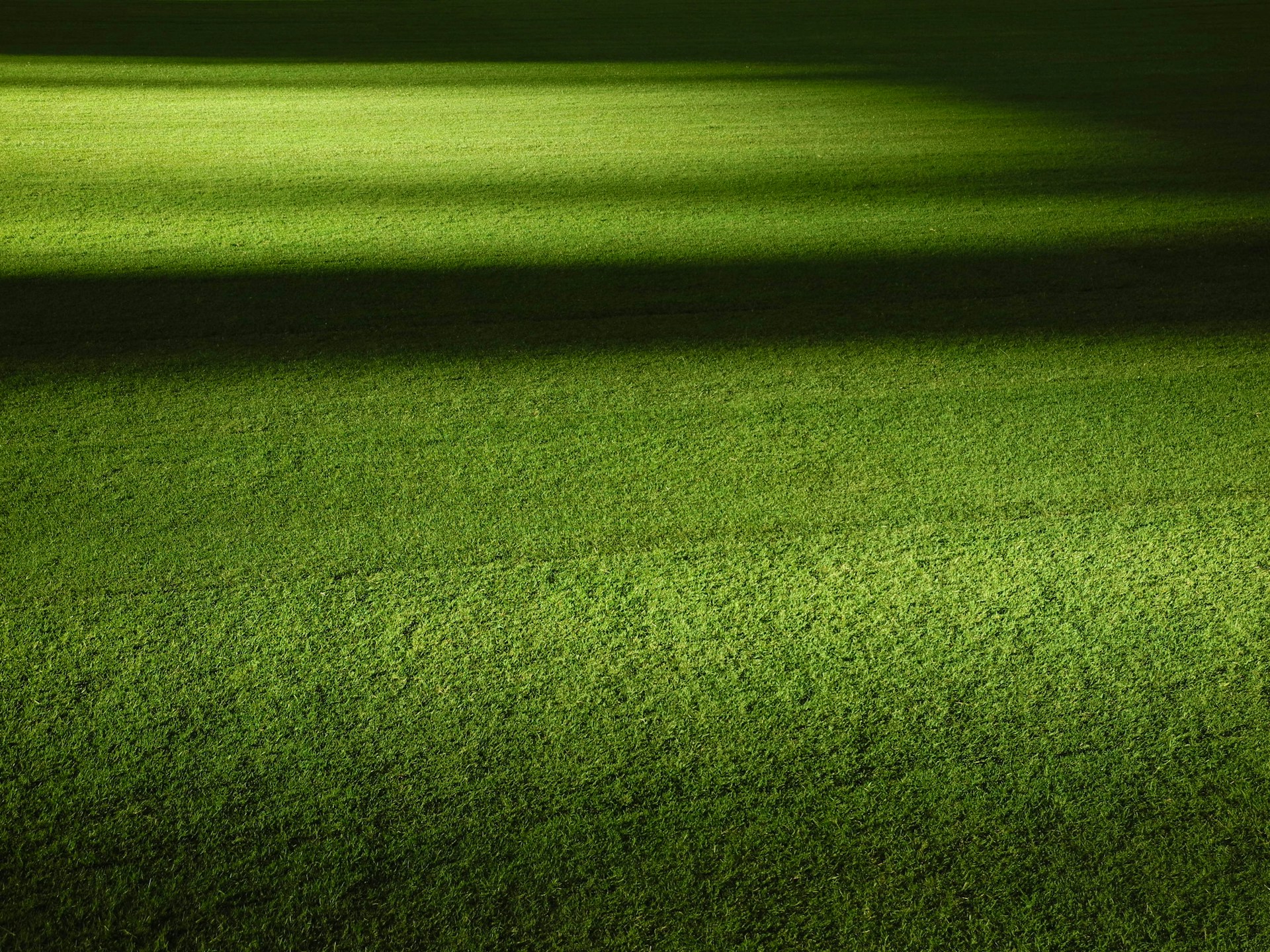 grass